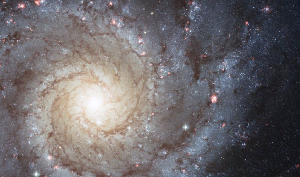 spiral galaxy