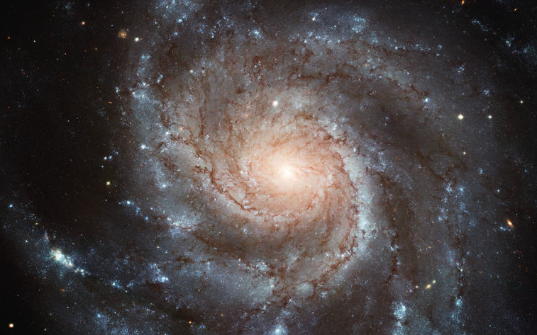 pinwheel galaxy image